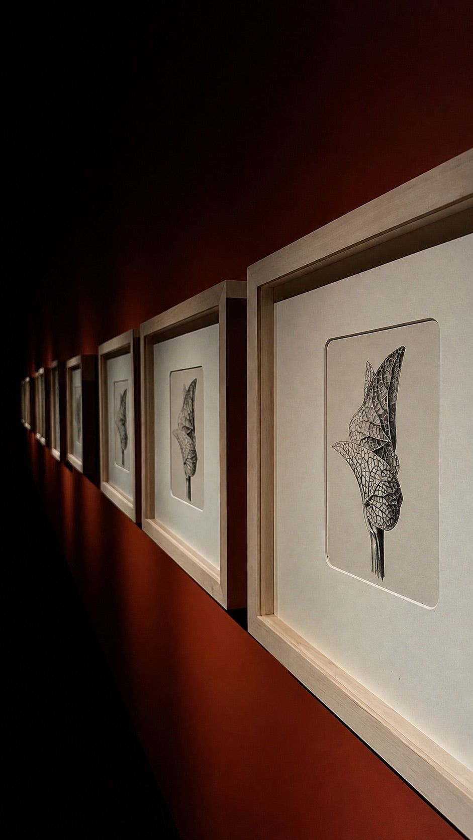 Deudare framed artwork gallery